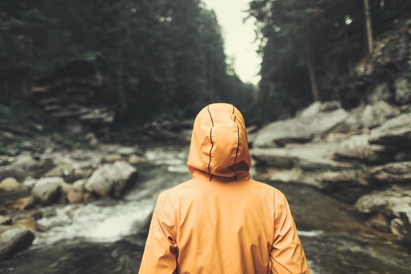 person in an orange jacket looking away into the forest